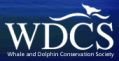 WDCS, the Whale and Dolphin Conservation Society